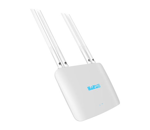 Wireless AC1200 Dual Band Router